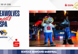 Wölfe im Stadtzentrum: Seawolves-Events und Aktionen im K-17 Pop-Up-Store der OSPA